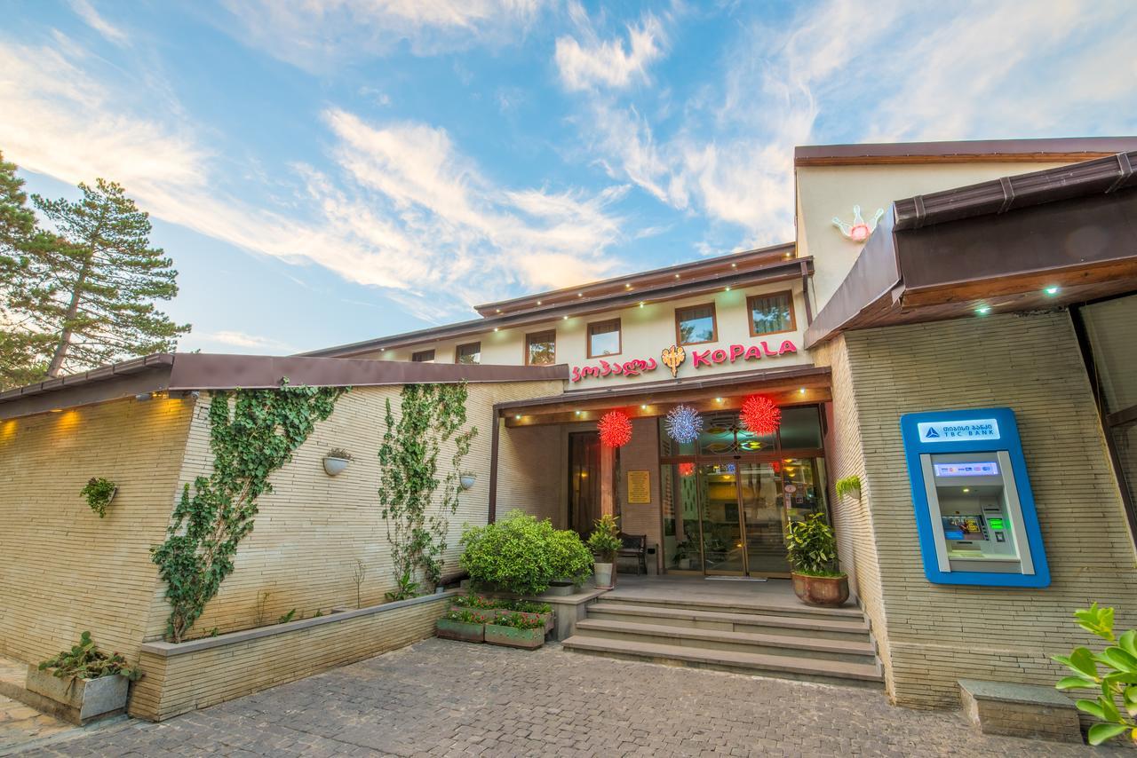 Kopala Tskneti Hotel Tsqnet'i Esterno foto